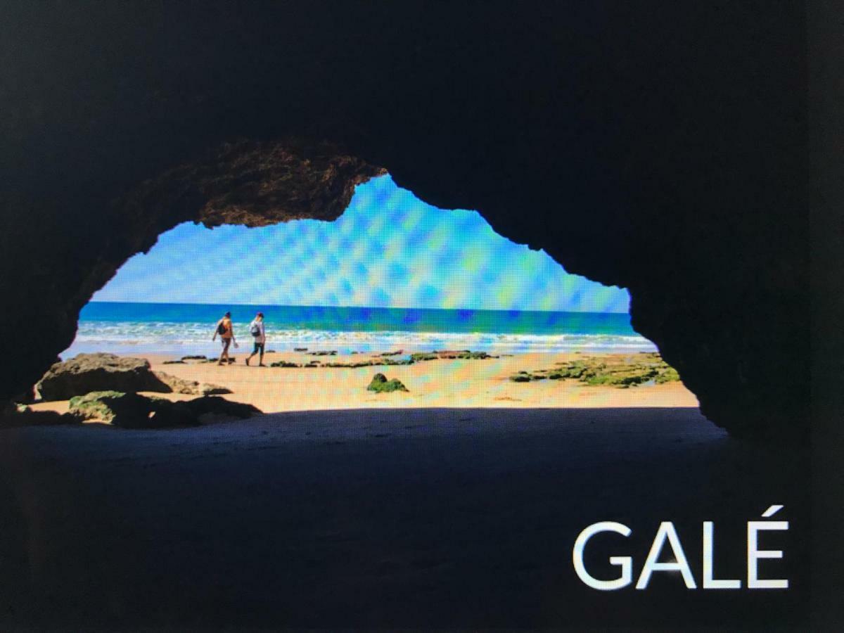 Palmeira Gale อัลบูเฟรา ภายนอก รูปภาพ